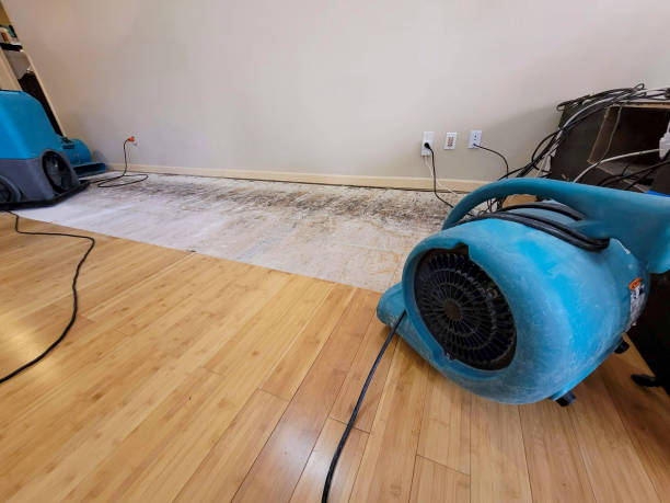 Professional Sewage Cleanup technician working in Payette, ID